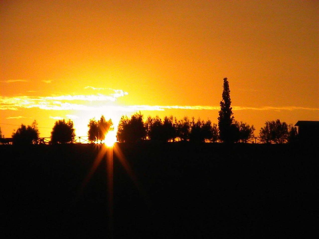 Agriturismo Le Docce Castelfiorentino Esterno foto