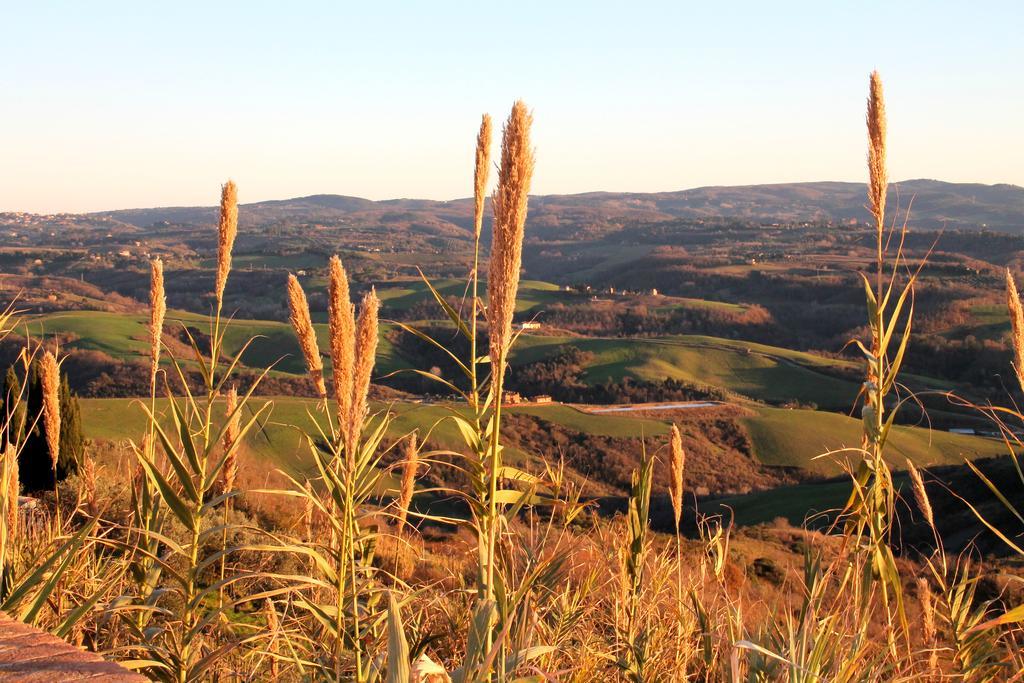 Agriturismo Le Docce Castelfiorentino Esterno foto